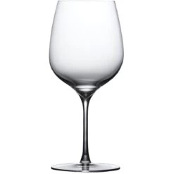 Nude Terroir Rode Wijnglas 590 Ml Kristalglas 2 Stuks