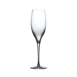 Nude Terroir Champagneglas 310 Ml Kristalglas 2 Stuks