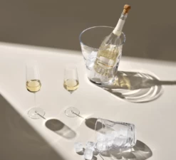 Nude Stem Zero Champagneglas 300 Ml -Winkel voor professionele keukenbenodigdheden zero champagne 3